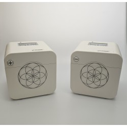 pHi Cube: + and -